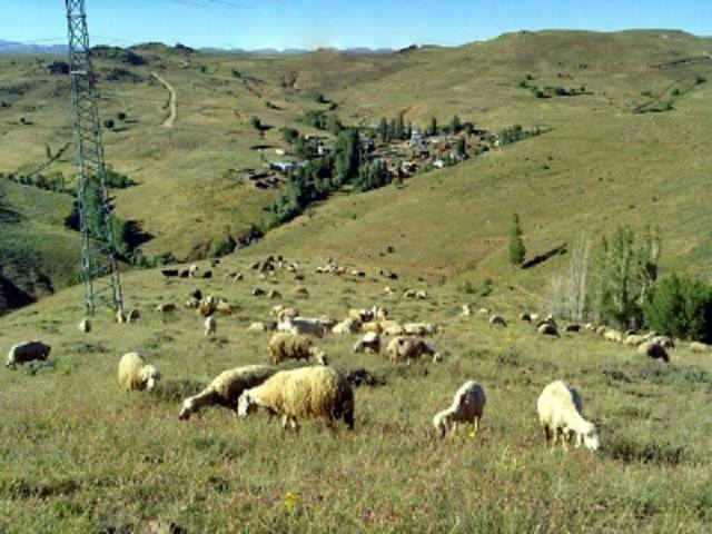 Divriği Dumluca Köyü Resimleri 1