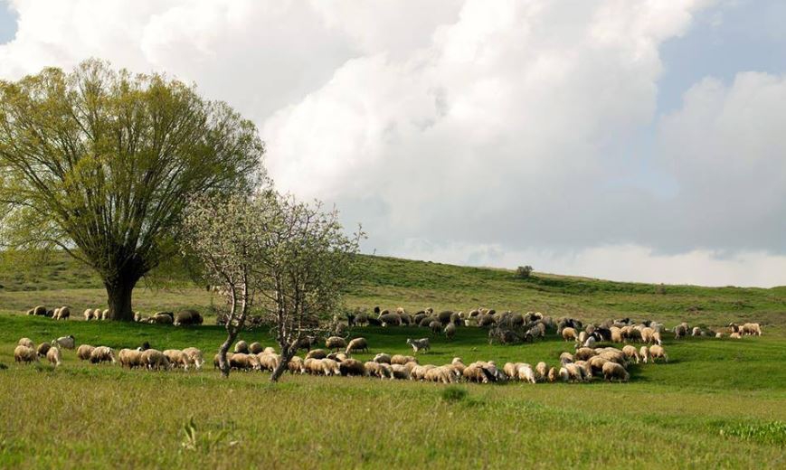 Divriği Dumluca Köyü Resimleri 19