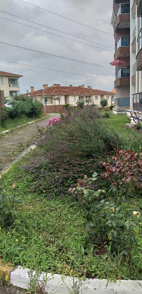 İzmit Kocatepe Köyü Resimleri 1