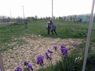 İzmit Kozluca Köyü Resimleri 10