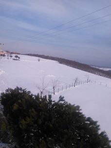 İzmit Kozluca Köyü Resimleri 7