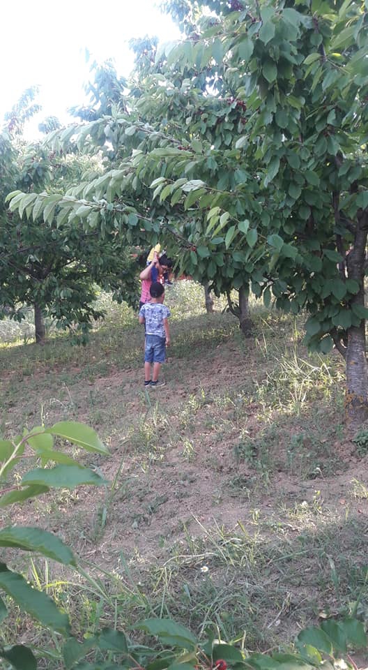 İzmit Kulfalı Köyü Resimleri 6