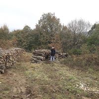 İzmit Sepetçi Köyü Resimleri 7