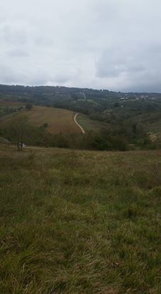 İzmit Süleymaniye Köyü Resimleri 1