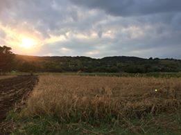İzmit Şahinler Köyü Resimleri 7