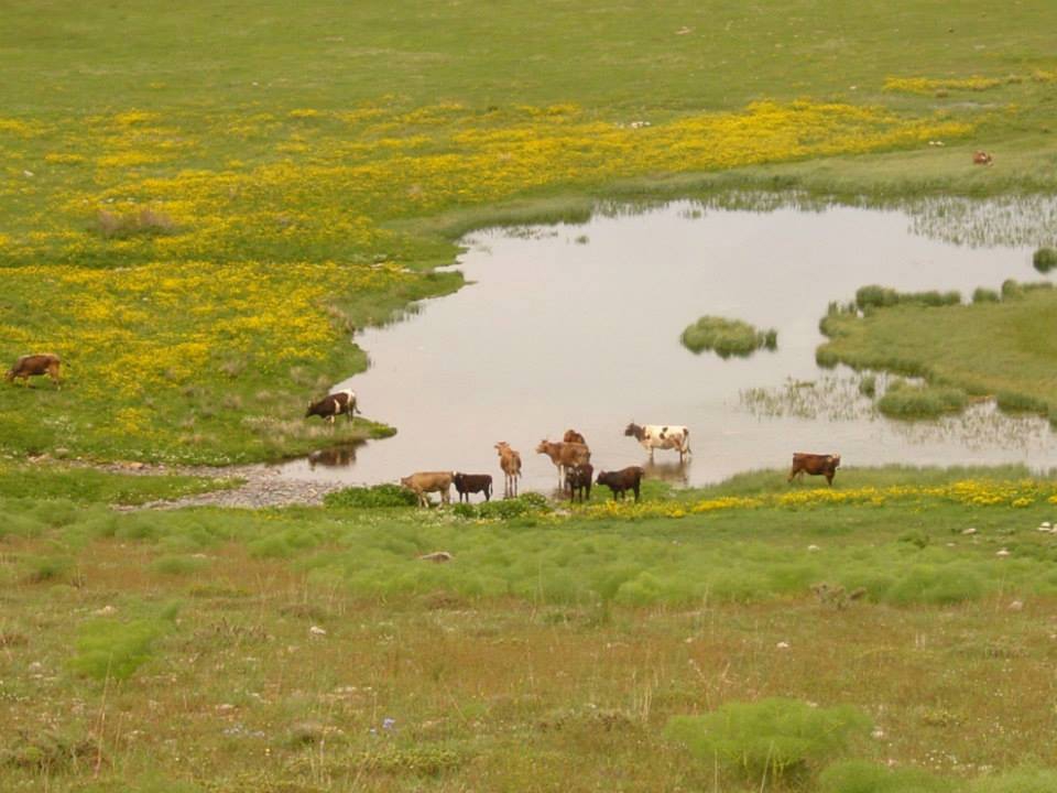 Divriği Eğrisu Köyü Resimleri 12