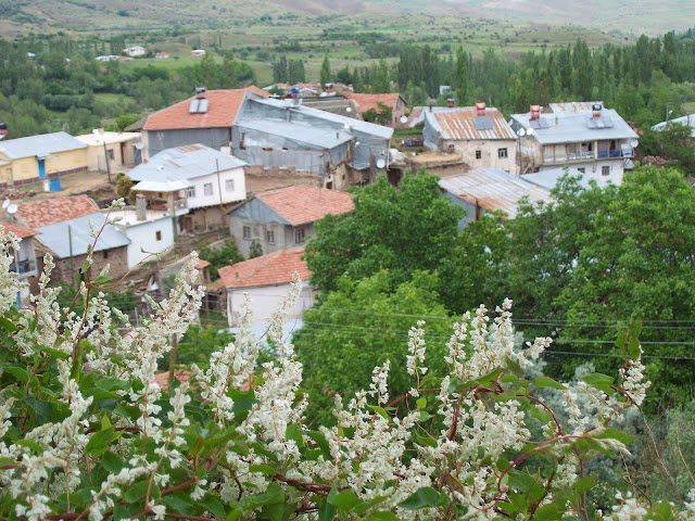 Divriği Eğrisu Köyü Resimleri 20