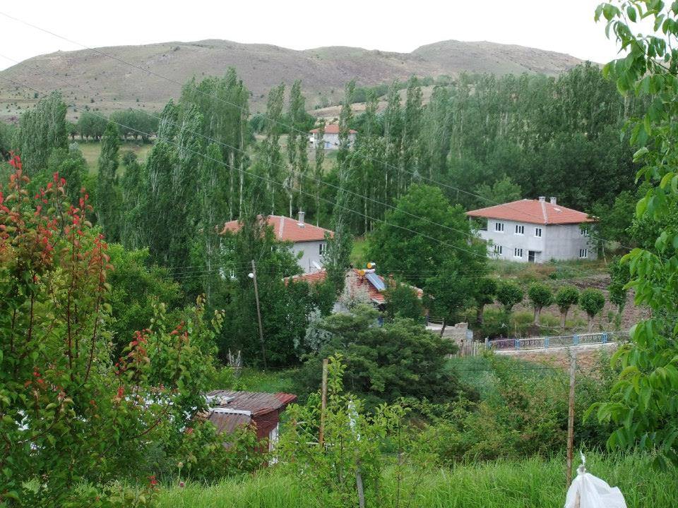 Divriği Eğrisu Köyü Resimleri 26