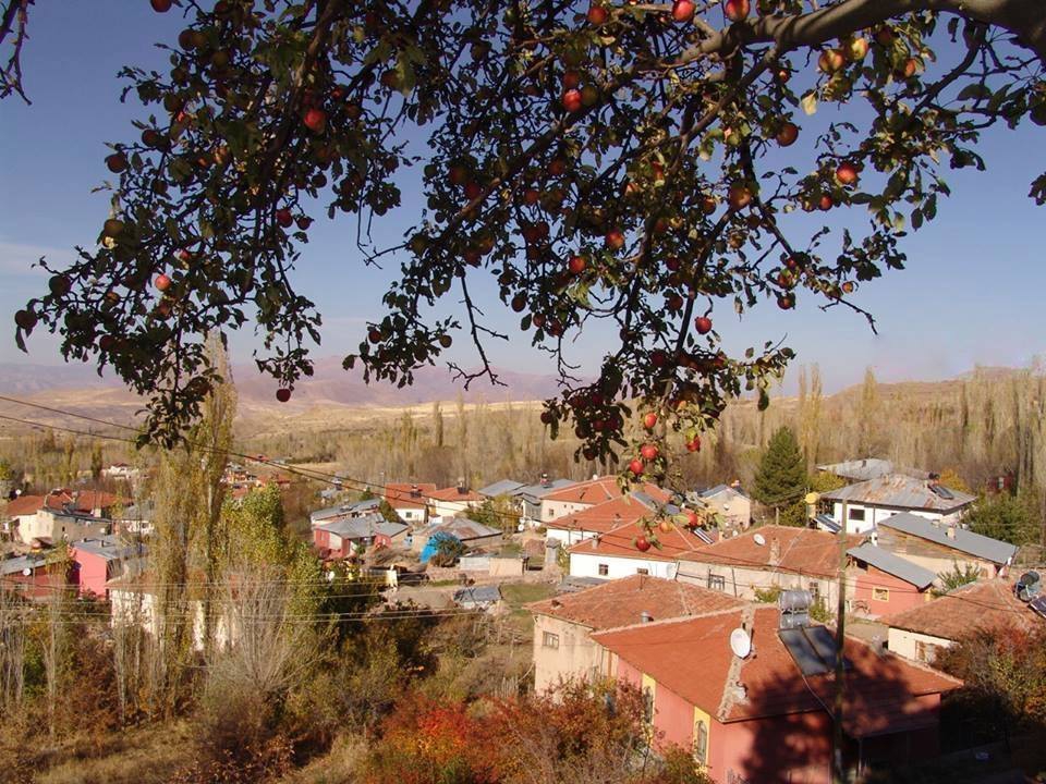 Divriği Eğrisu Köyü Resimleri 27