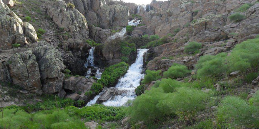 Divriği Eğrisu Köyü Resimleri