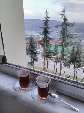 İzmit Tepeköy Köyü Resimleri 2