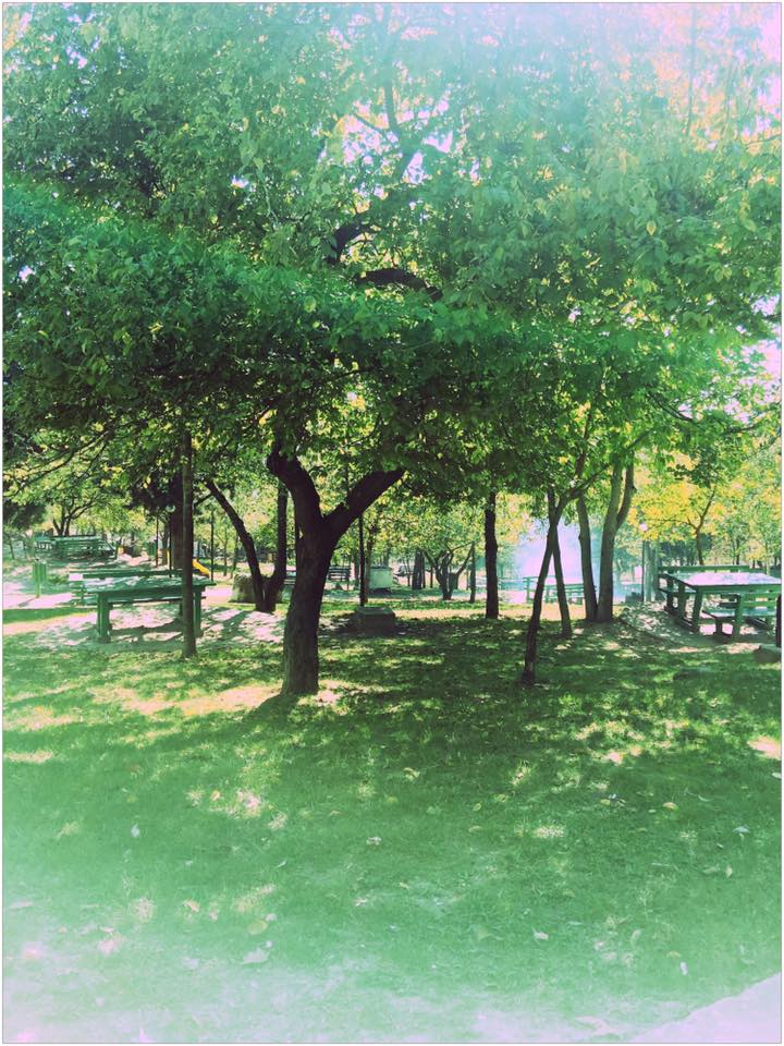 İzmit Veliahmet Köyü Resimleri 2