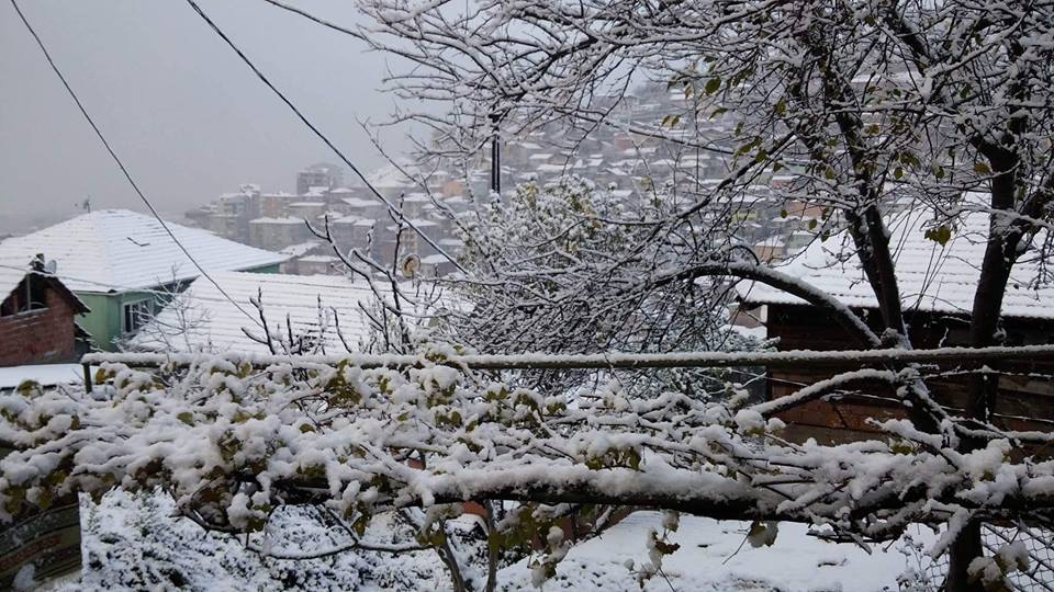 İzmit Yenidoğan Köyü Resimleri 4