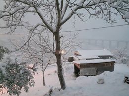 İzmit Yenimahalle Köyü Resimleri 6