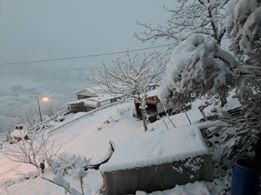 İzmit Yenimahalle Köyü Resimleri 8