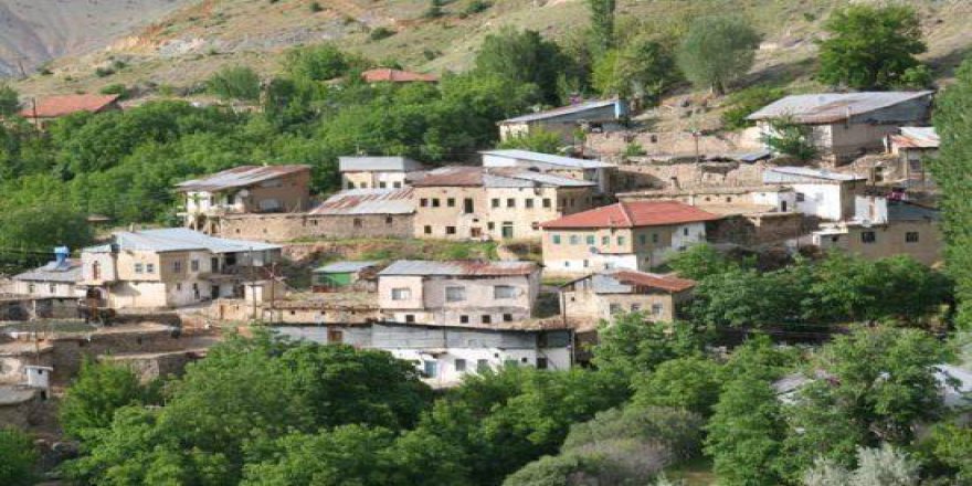 Divriği Ekinbaşı Köyü Resimleri