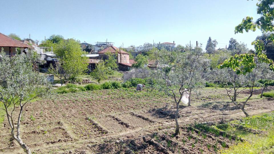 Çine Akdam Köyü Resimleri 3