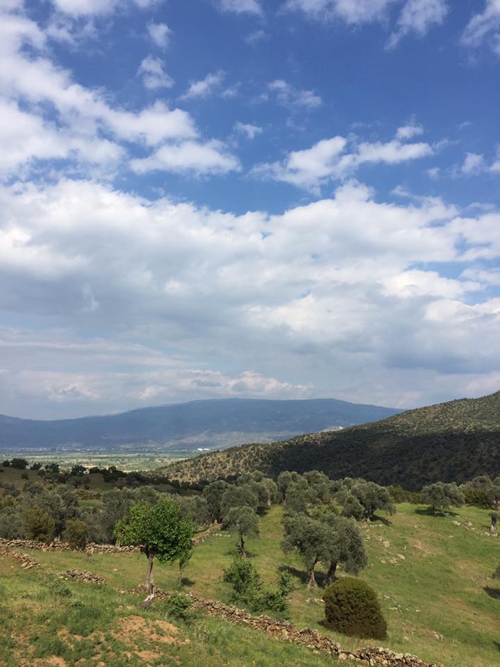 Çine Akdam Köyü Resimleri 5