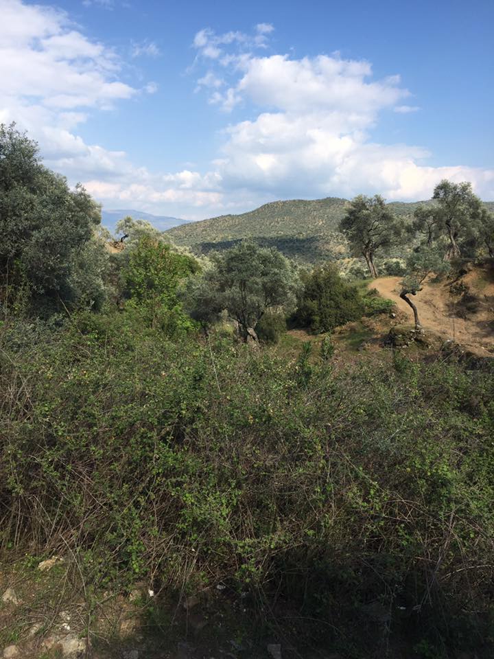 Çine Akdam Köyü Resimleri 6