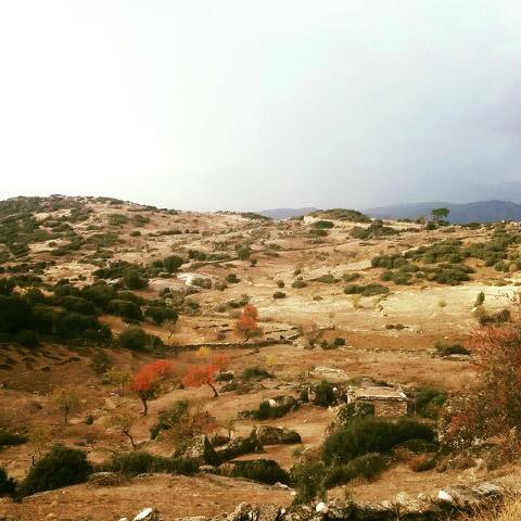 Çine Alabayır Köyü Resimleri 1