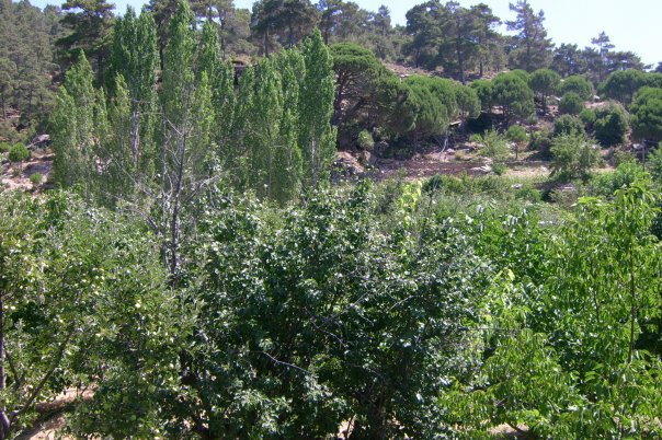 Çine Alabayır Köyü Resimleri 2