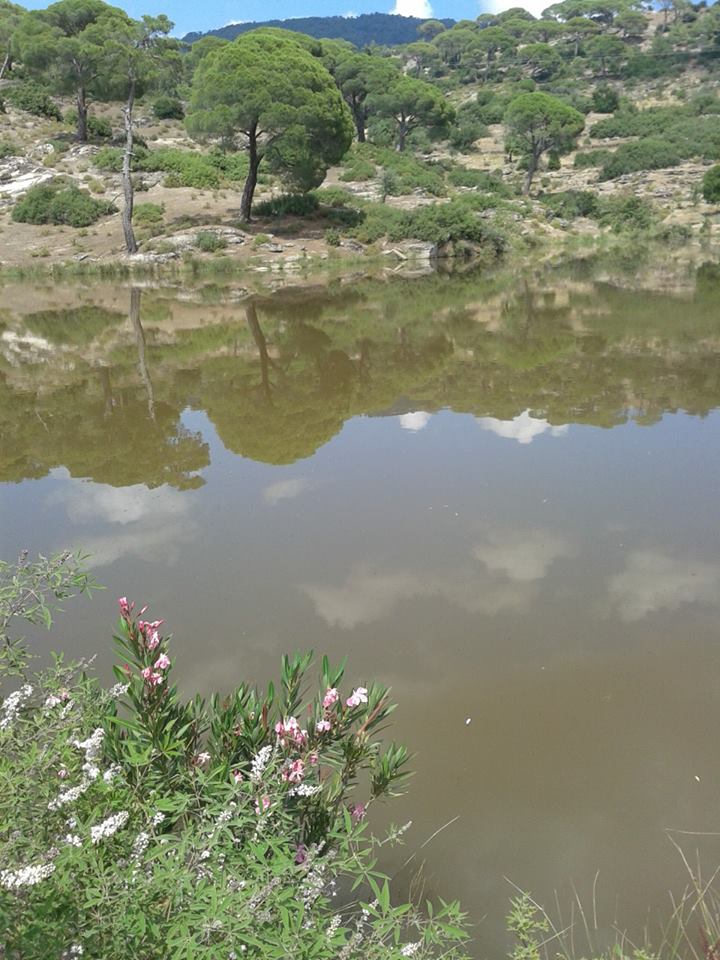 Çine Alabayır Köyü Resimleri 3