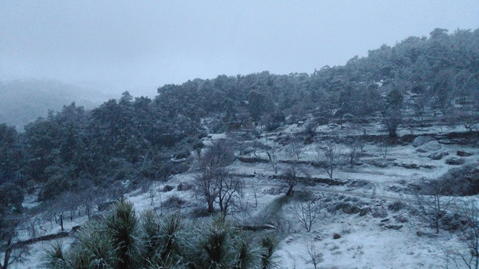 Çine Alabayır Köyü Resimleri 4