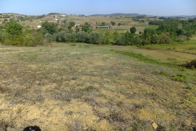 İzmit Zeytinburnu Köyü Resimleri 1