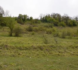 İzmit Zeytinburnu Köyü Resimleri 2