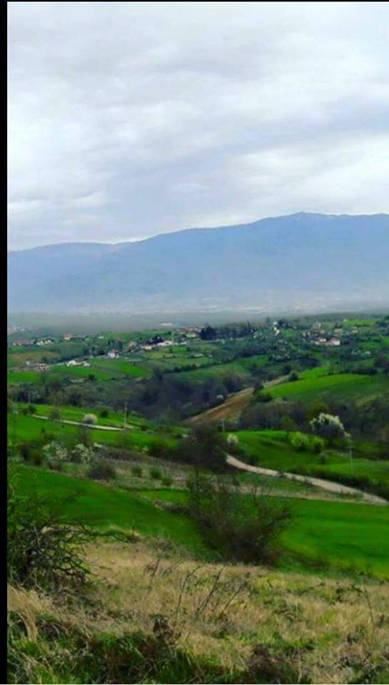 İzmit Zeytinburnu Köyü Resimleri 3