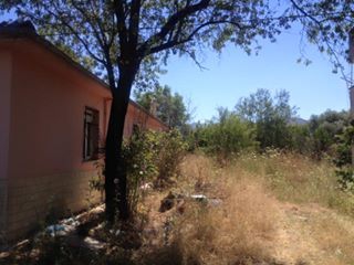 Çine Altınova Köyü Resimleri 2