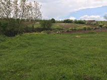 Kandıra Ağaçağıl Köyü Resimleri 5