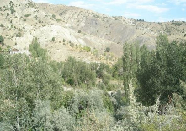 Divriği Erikli Köyü Resimleri 23