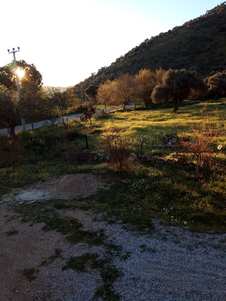 Çine Bedirler Köyü Resimleri 2