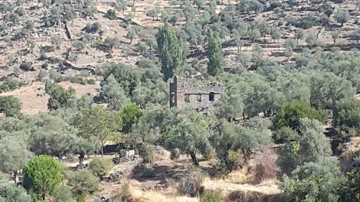 Çine Bölüntü Köyü Resimleri 2