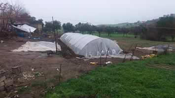 Çine Camızağılı Köyü Resimleri 2