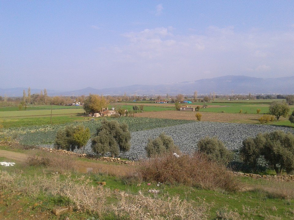 Çine Camızağılı Köyü Resimleri 6