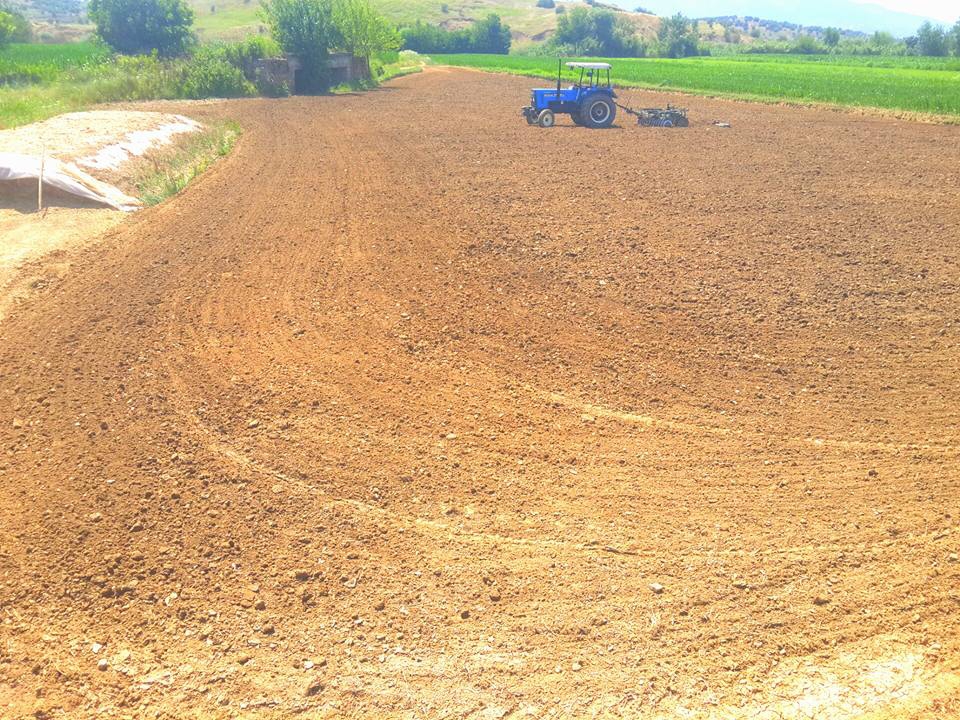 Çine Çaltı Köyü Resimleri 3