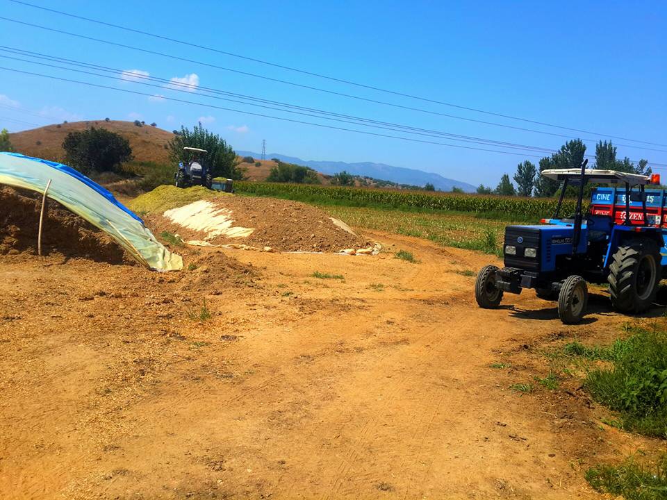 Çine Çaltı Köyü Resimleri 4