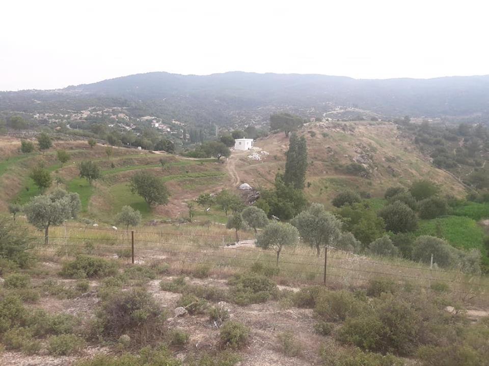 Çine Çatak Köyü Resimleri 1