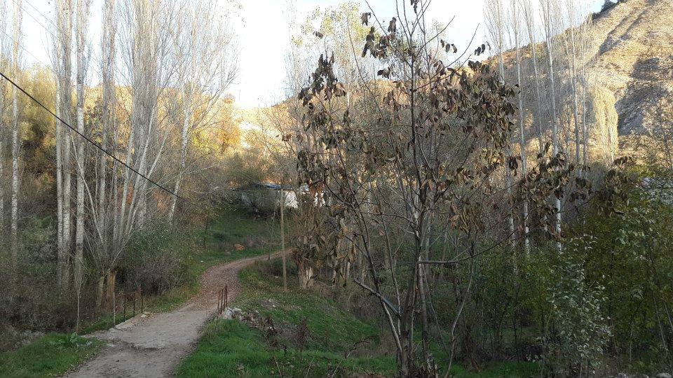 Divriği Eskibeyli Köyü Resimleri 41