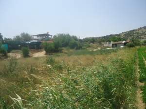 Çine Çöğürlük Köyü Resimleri 2