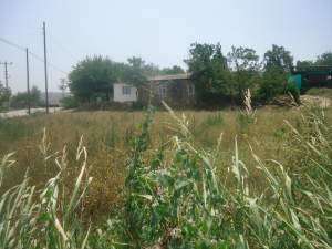 Çine Çöğürlük Köyü Resimleri 3