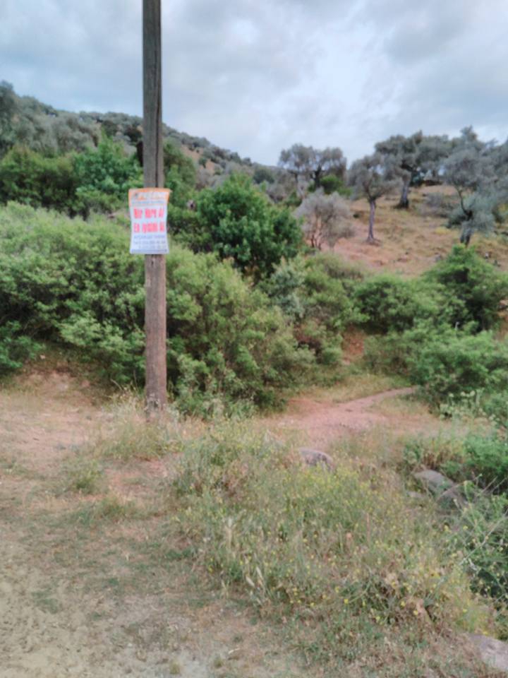 Çine Çöğürlük Köyü Resimleri 5