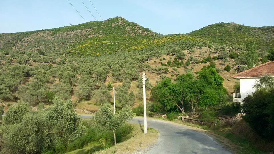 Çine Dereli Köyü Resimleri 8