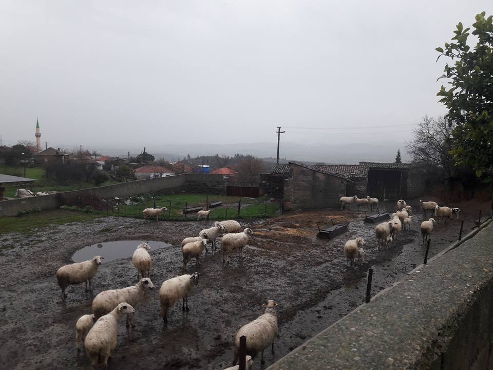 Çine Dorumlar Köyü Resimleri 2