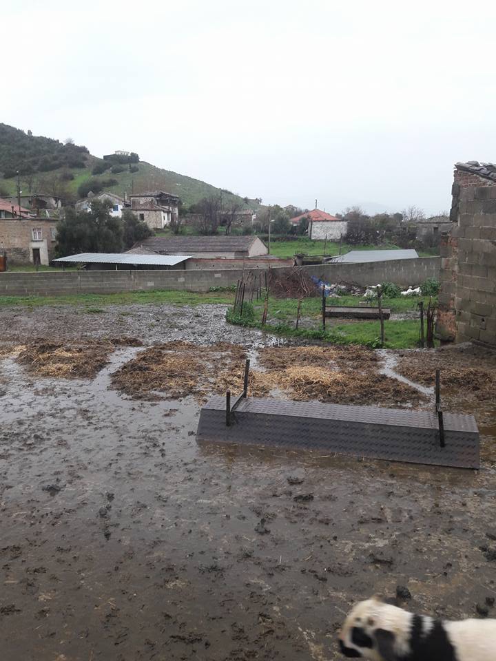 Çine Dorumlar Köyü Resimleri 4