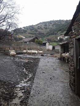 Çine Dorumlar Köyü Resimleri 5