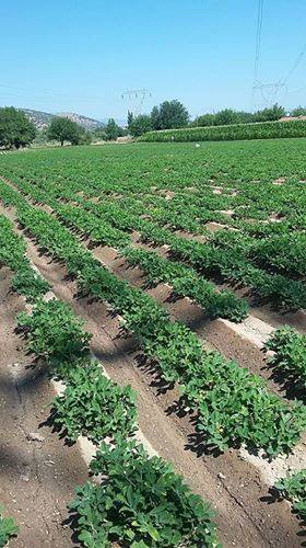 Çine Eskiçine Köyü Resimleri 3