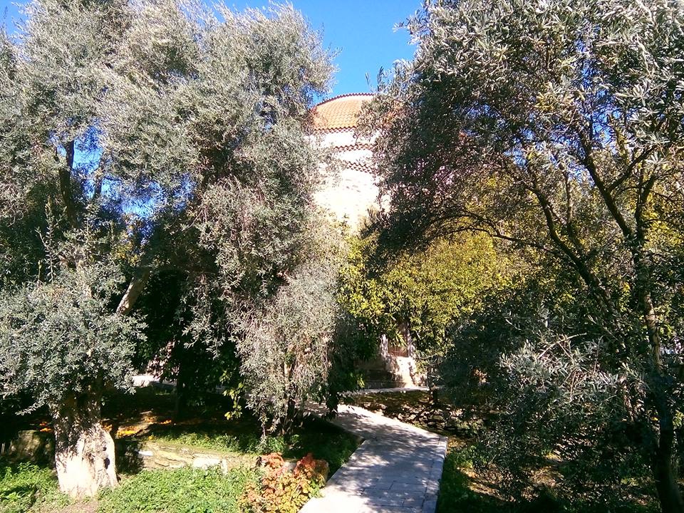 Çine Eskiçine Köyü Resimleri 4